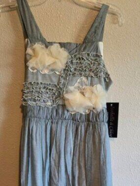 Isobella & Chloe Floral Applique Dress
